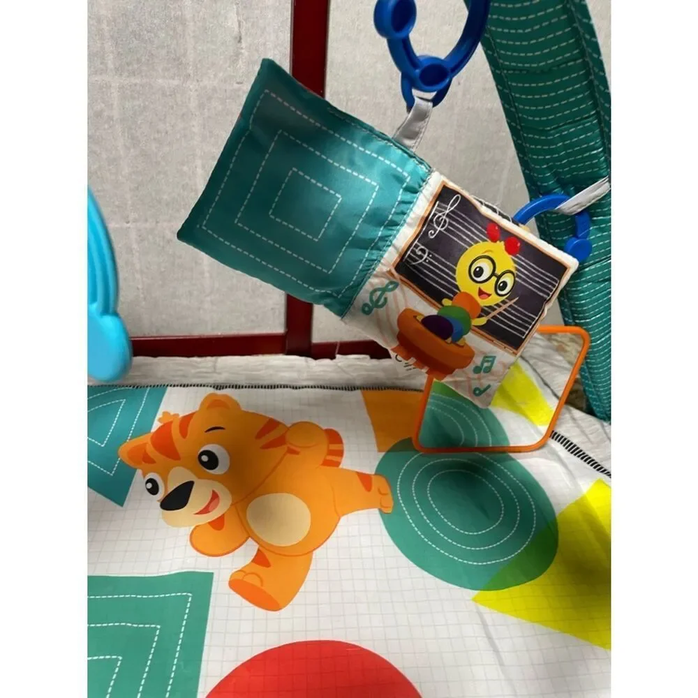 Baby Einstein Colorful Animal Baby Play Gym - Teal, Orange, Red, Blue, White